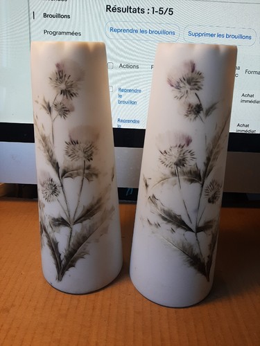 Paire vase opaline - vase,